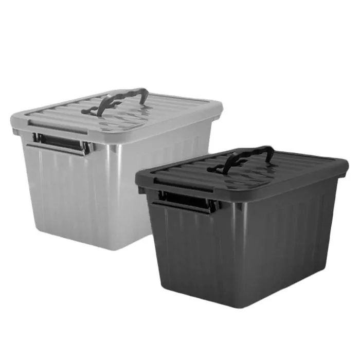 Caja Organizadora Grande Color 24 Lts