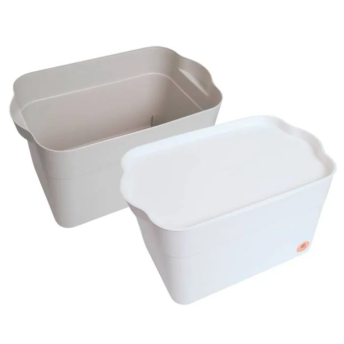 Caja Organizadora Maxi Box 15 Lts.