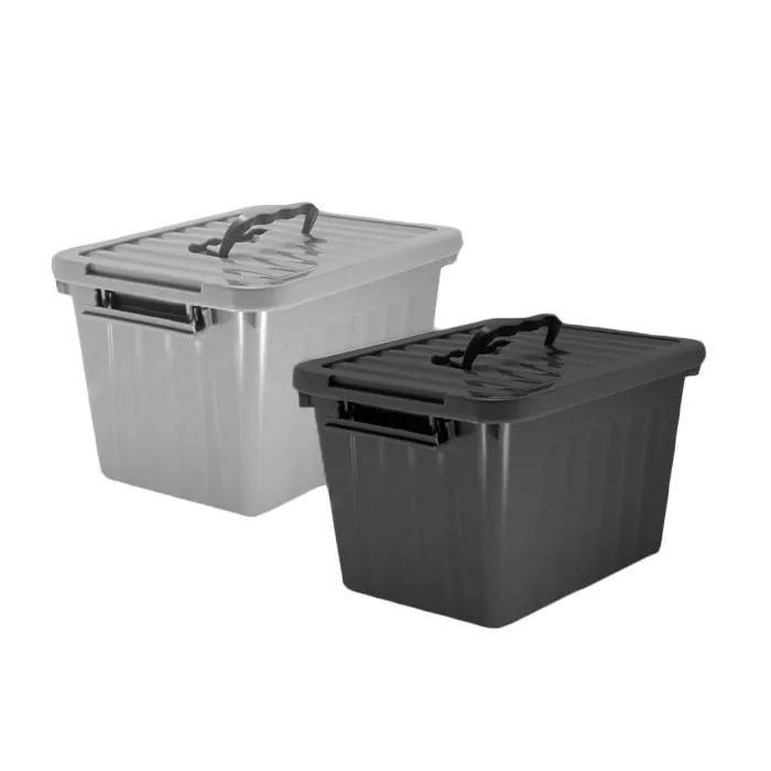 Caja Organizadora Mediana Color 12 Lts
