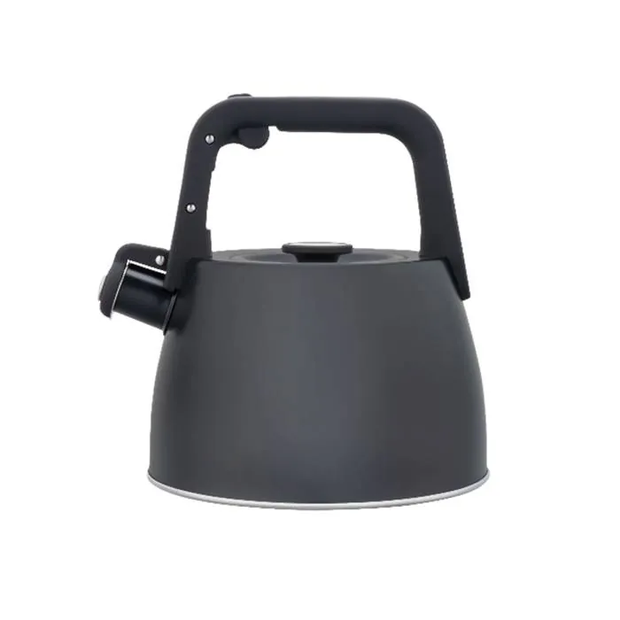 Pava Hudson Silbadora 2.5 Lts. Negra